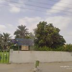 مسجد بقیه الله