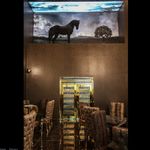 كافه رستوران روبی