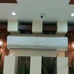 تیمور مدرسیان نیکو