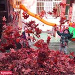 مهد کودک راه آبی