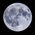 دکتر علی نظری