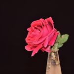 دکتر علی نظری