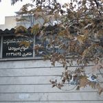 انواع میوه ها
