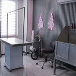 کلینیک دامپزشکی رد کارپت