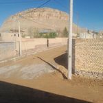 بوستان زیتون