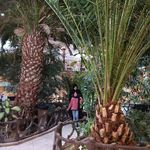 رستوران ساحل