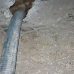 لوله بازکنی فنرزن چاه بازکن تخلیه لایروب