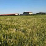 مزرعه پرورش بلدرچین وشمیران