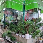 کیوسک گل فروشی