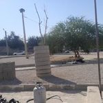 پارک ملت کره موچی