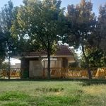 دکه‌‌ی مطبوعات پارک شقایق