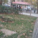 پارک گلها