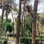 ساختمان اداری دانشگاه خوارزمی
