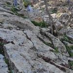 مسجد علب ابن ابیطالب تنگ تکاب
