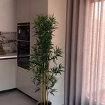 پرده استور