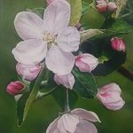 آموزشگاه طراحی، نقاشی و خوشنویسی (کلک شیدا)