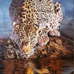 آموزشگاه طراحی، نقاشی و خوشنویسی (کلک شیدا)