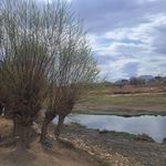 امامزاده سلطان محمد بن علی