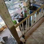 طباخی بهمن قنبری