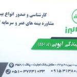 بیمه ابراهیمی