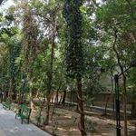 بوستان هورفر