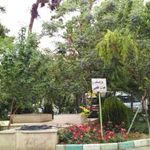 بیمارستان روانپزشکی روزبه