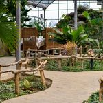 مجموعه استوایی اسپیناس