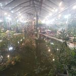 مجموعه استوایی اسپیناس