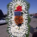 گل فروشی دنیز آنلاین (شعبه 2)