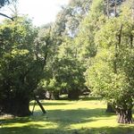 جنگل و مرداب قادیکلا