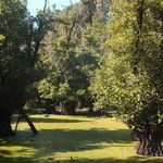 جنگل و مرداب قادیکلا