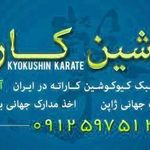 آموزش کیوکوشین کاراته