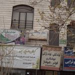 بهادر اژدری