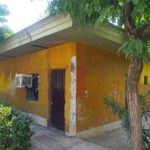 بوستان بهار