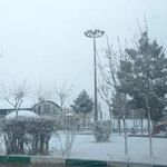 بوستان دلگشا