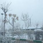 بوستان دلگشا