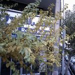بانک رفاه شعبه بلوار آفریقا