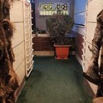 کافه هوکاروف