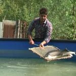 استخر پرورش ماهیان خاویاری