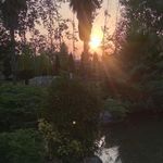 تالار لوتوس لنگرود