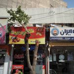 فلافل بیروت