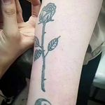 کیلینیک زیبایی مه نگار