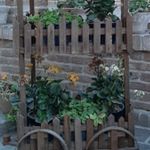 رستوران ملک شاهان