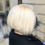 رنگ و لایت ژیلا امیری