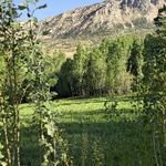 اقامتگاه بومگردی مروارید گلک