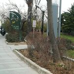 بوستان شهدای قنبرزاده