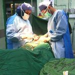 سونوگرافی دکتر سیده فاطمه موسوی