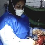 سونوگرافی دکتر سیده فاطمه موسوی