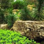 باغ گیاه شناسی ملی ایران