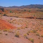 گل افشان پیرگل